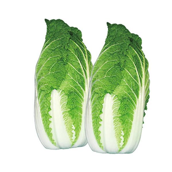 ミニ白菜 詩姫(うたひめ)白菜 20ml 白菜 ハクサイ はくさい 山陽交配 【山陽種苗 種 たね ...