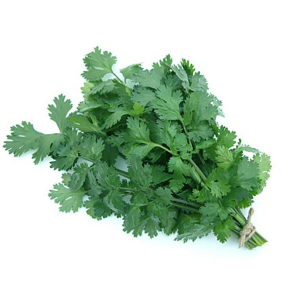 ネーキッド パクチー(コリアンダー) 2500粒 パクチー【山陽種苗 種 たね タネ 】【通常5倍 ...