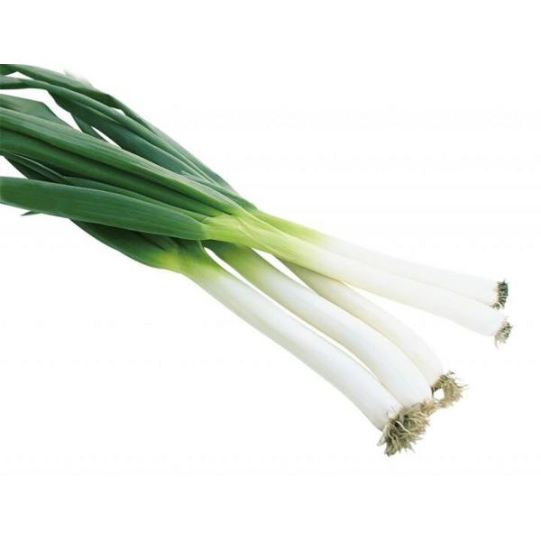 山陽育成 のどか一本葱 2dl 葱 ネギ ねぎ【山陽種苗 種 たね タネ 】【通常5倍 5のつく日は...