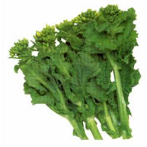 菜の花 種 食用 葉菜の種 の商品一覧 種 種子 花 ガーデニング 通販 Yahoo ショッピング