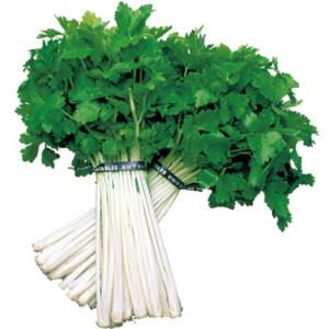 ねぎ  VA-187 真鍮丸球ネジ締 1個 WAKI(和気産業) 【通販モノタロウ】