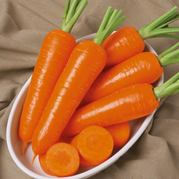 グランプリ人参 タキイ交配 L1万粒10センR ニンジン にんじん 人参【タキイ 種 たね タネ】【...