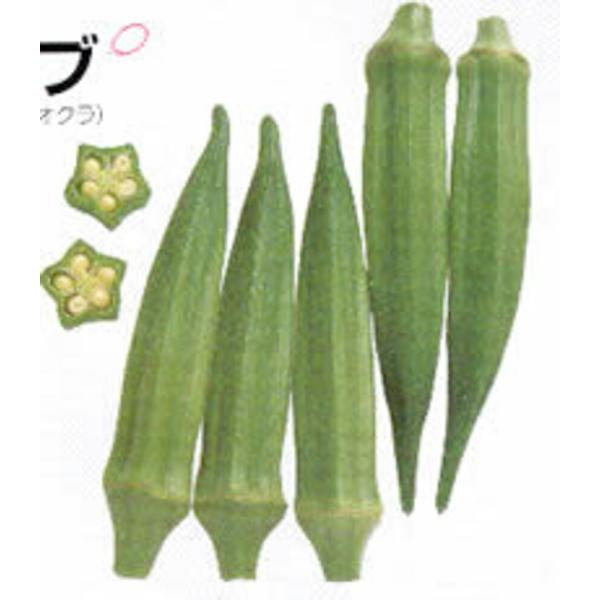 オクラ ベターファイブ タキイ育成 1000粒1センR オクラ おくら 【タキイ 種 たね タネ】【...