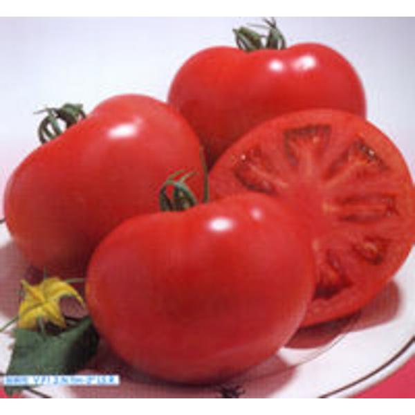 桃太郎8(エイト)トマト タキイ交配 100R100粒 トマト とまと 蕃茄 タキイ 種 たね タネ...