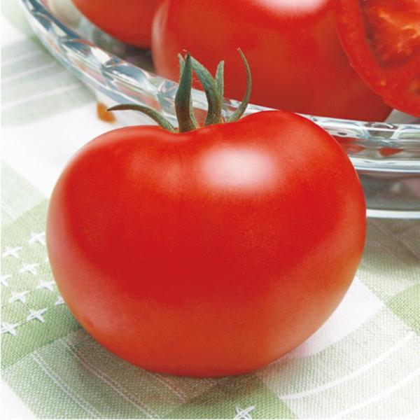 桃太郎ギフトトマト タキイ交配 50R50粒 トマト とまと 蕃茄 タキイ 種 たね タネ 【通常5...