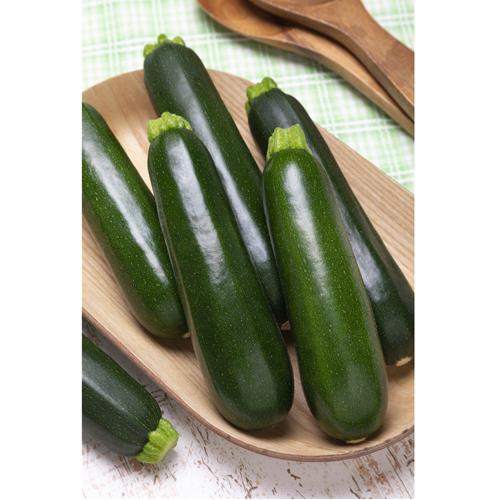 ダイナーEX 100粒 ズッキーニ 【タキイ 種 たね タネ】【通常5倍 5のつく日はポイント10倍...