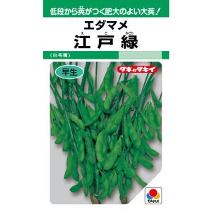 枝豆 神風香 1L 雪印種苗（株） : グリーンロフトネモト - 通販