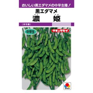 野菜の種/種子 湯あがり娘・えだまめ 枝豆 2000粒 (大袋) 【2月上旬頃