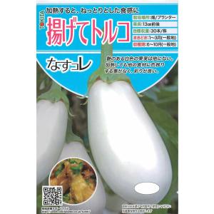 ナカハラのたね トウガン 沖縄冬瓜 100粒 : 種苗・園芸ショップ 種もり