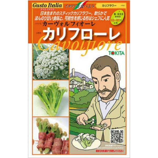 花椰菜 カリフローレ80 2500粒(Lコート) グストイタリア ダイヤ交配 【トキタ 種 たね タ...