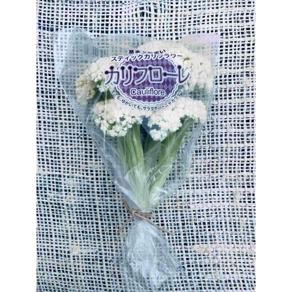 花椰菜 カリフローレ70 2500粒(Lコート) グストイタリア ダイヤ交配 【トキタ 種 たね タ...