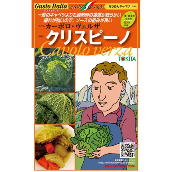 サボイキャベツ クリスピーノ 1000粒(Lコート) グストイタリア ダイヤ交配 【トキタ 種 たね...