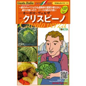 サボイキャベツ クリスピーノ 200粒 グストイ...の商品画像