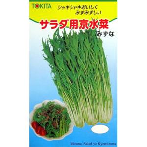 サラダ用京水菜 2dl 水菜 ミズナ みずな【トキタ 種 たね タネ】【通常5倍 5のつく日はポイン...