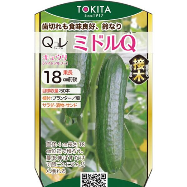 Qコレシリーズ ミドルQ 100粒 胡瓜 キュウリ きゅうりQコレシリーズ ミドルQ 100粒 ダイ...