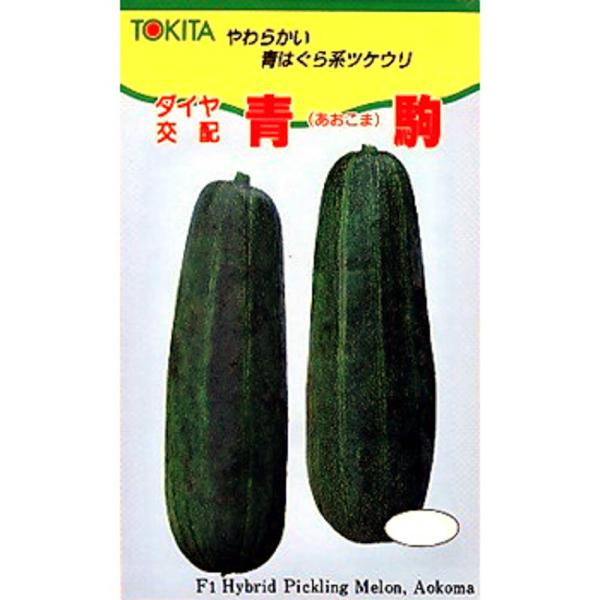 青駒 100粒 ウリ うり 瓜 ダイヤ交配 【トキタ 種 たね タネ】【通常5倍 5のつく日はポイン...