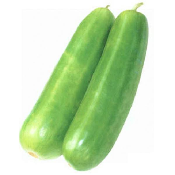 白はぐら 1L ウリ うり 瓜【トキタ 種 たね タネ】【通常5倍 5のつく日はポイント10倍】