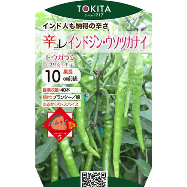 辛コレシリーズ インドジン・ウソツカナイ 100粒 唐辛子 とうがらし トウガラシ ダイヤ交配 【ト...