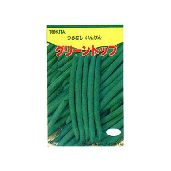 グリーントップ(つるなし) 1l 隠元豆 インゲンマメ いんげんまめ【トキタ 種 たね タネ】【通常...