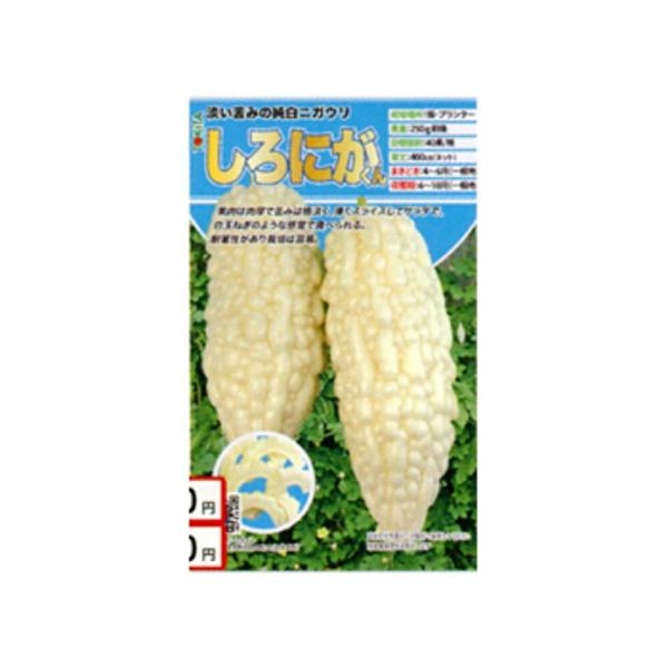 しろにがくん 100粒 ニガウリ にがうり 苦瓜 ダイヤ交配 【トキタ 種 たね タネ】【通常5倍 ...