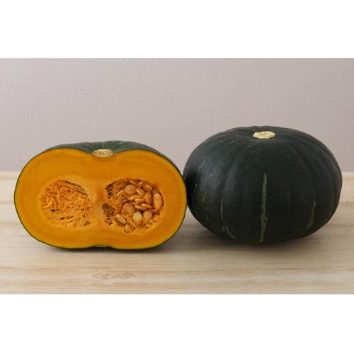 満天大黒 500粒 南瓜 カボチャ かぼちゃ ダイヤ交配 【トキタ 種 たね タネ】【通常5倍 5の...