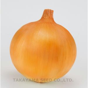 トップゴールド320 タマネギ 種子 タカヤマシード 2dl 1缶 タマネギ トップゴールド320｜種（タネ）,球根,苗,資材