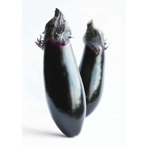 あのみのり2号 PVP 1000粒 ナス なす 茄子【渡辺採種場 種 たね タネ 】【通常5倍 5の...