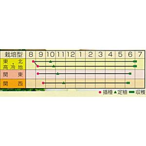 ラッキー 5000粒(2L) 玉ねぎ たまねぎ...の詳細画像1