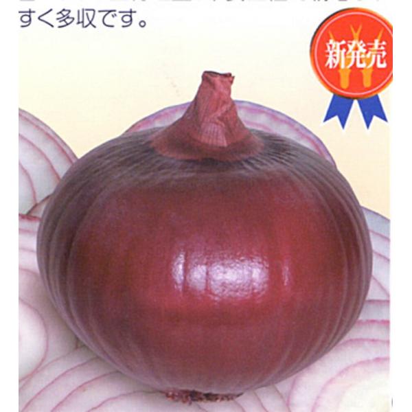 松島レッド 20ml 玉ねぎ たまねぎ 玉葱 タマネギ【渡辺採種場 種 たね タネ 】【通常5倍 5...