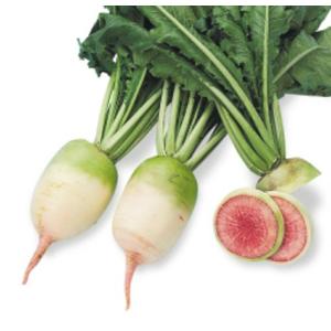 SK9-099 ブロッコリー種子 2000粒 【野菜種子】【サカタのタネ