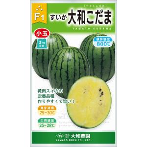 ピノダディ 100粒 スイカ すいか 西瓜 【ナント 種 たね タネ 】【通常