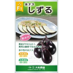タキイ種苗 レタス ヒートガイ ペレット5000粒 : 種苗・園芸ショップ