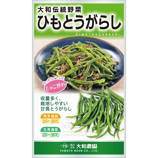 ひもとうがらし 10ml 唐辛子 とうがらし トウガラシ【大和農園 種 たね タネ】【通常5倍 5の...