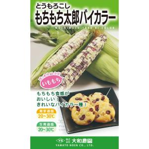 サカタのタネ（サカタノタネ） とうもろこし ゴールドラッシュ90 2000