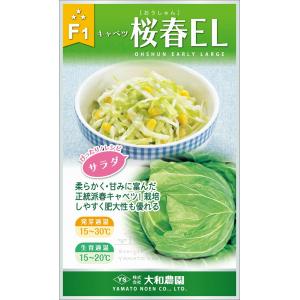 大河の轟き 5000粒(コート) 葱 ネギ ねぎ ダイヤ交配 【トキタ 種 たね