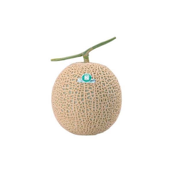 雅夏206 100粒 めろん メロン 舐瓜 ウエキ交配 横浜植木 【横浜植木 種 たね タネ 】【通...