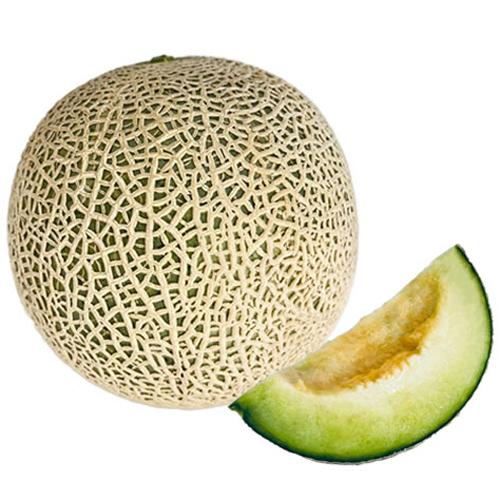 クレセント 100粒 めろん メロン  【横浜植木 種 たね タネ 】【通常5倍 5のつく日はポイン...