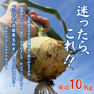 【新玉ねぎ・送料無料】淡路島産 新玉ねぎ 10kg 農家直送 甘い たまねぎ タマネギ 産地直送