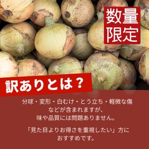 【新玉ねぎ・訳あり】淡路島産 新玉ねぎ 10k...の詳細画像3