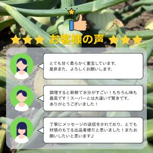 【新玉ねぎ・訳あり】淡路島産 新玉ねぎ 10k...の詳細画像4