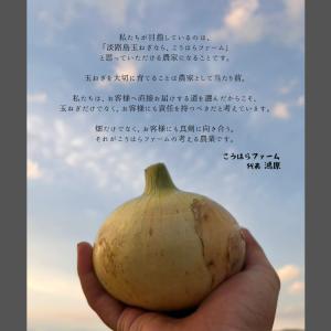 【新玉ねぎ・訳あり】淡路島産 新玉ねぎ 10k...の詳細画像5
