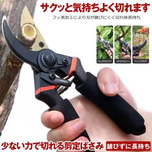 国華園 軽量・小型剪定鋏 1個 園芸用 はさみ 枝切り ハサミ