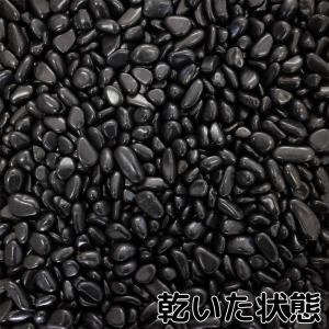 TAIKOH 高級黒玉石 黒光石 3分 12-...の詳細画像2