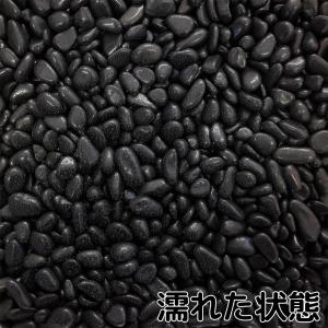 TAIKOH 高級黒玉石 黒光石 3分 12-...の詳細画像3