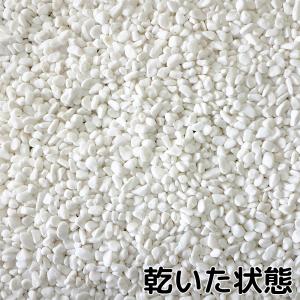 TAIKOH 高級白玉石 白仙 2分 6-9m...の詳細画像2