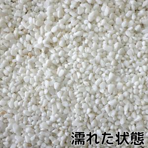 TAIKOH 高級白玉石 白仙 2分 6-9m...の詳細画像3