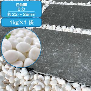 TAIKOH 高級白玉石 白仙 8分 20-25mm 40kg 化粧砂利 ホワイト 白