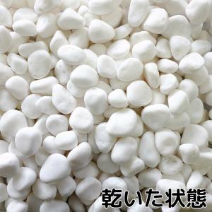 TAIKOH 高級白玉石 白仙 8分 20-2...の詳細画像2