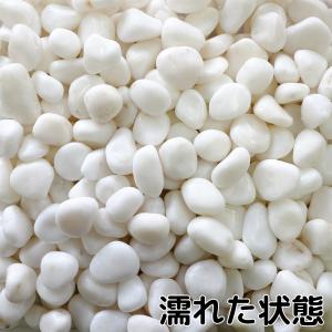 TAIKOH 高級白玉石 白仙 8分 20-2...の詳細画像3