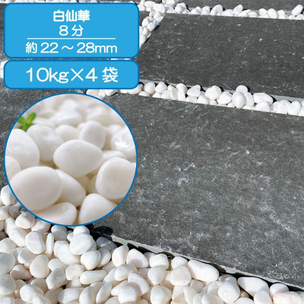 TAIKOH 高級白玉石 白仙 8分 20-25mm 40kg 化粧砂利 ホワイト 白 水磨き 玉石...